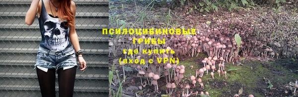 a pvp Зеленокумск