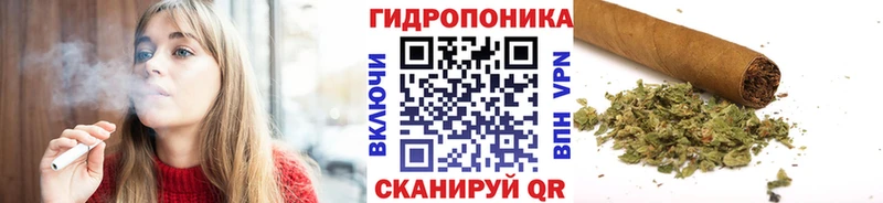 Бошки марихуана Ganja  закладки  Новотитаровская 